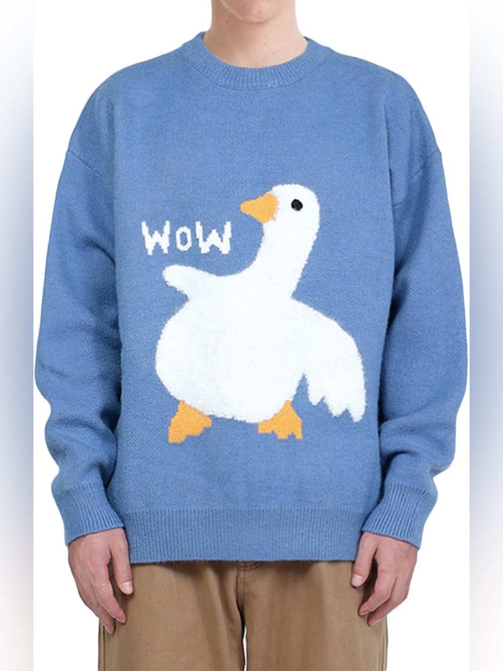 Aelfric Eden Goose Sweater XL Blue “WOW” Graphic Knit Pullover Unisex Cottagcore